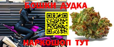 винт Дубна