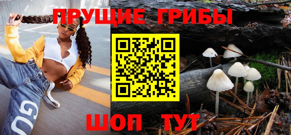 закладка  Галлюциногенные грибы Psilocybine cubensis  Вход с VPN  Богородицк  Псилоцибиновые грибы Cubensis 