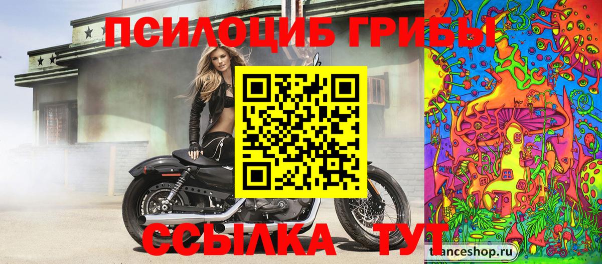 Галлюциногенные грибы мицелий Богородицк